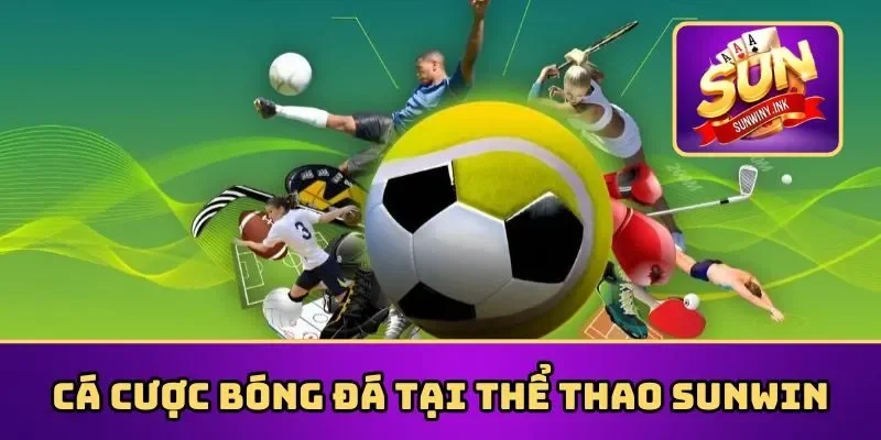 Cá cược bóng đá tại thể thao Sunwin
